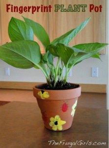 ujjlenyomatos viragcserep