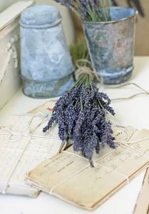 levendulas csendelet