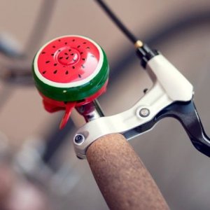 bicicsengo